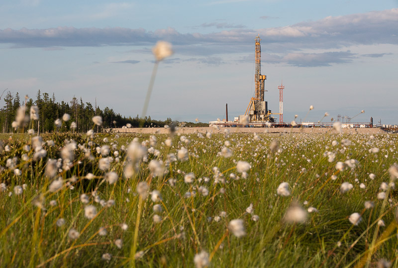 Экологическое сопровождение